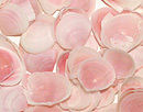 CONCHA ROSA Kilo:$120