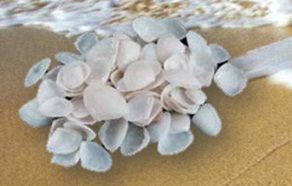 CONCHA BLANCA Kilo:$150
