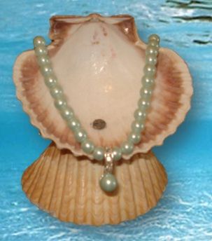 DISPLAY JOYERIA $50